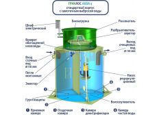 Гринлос Аква 4